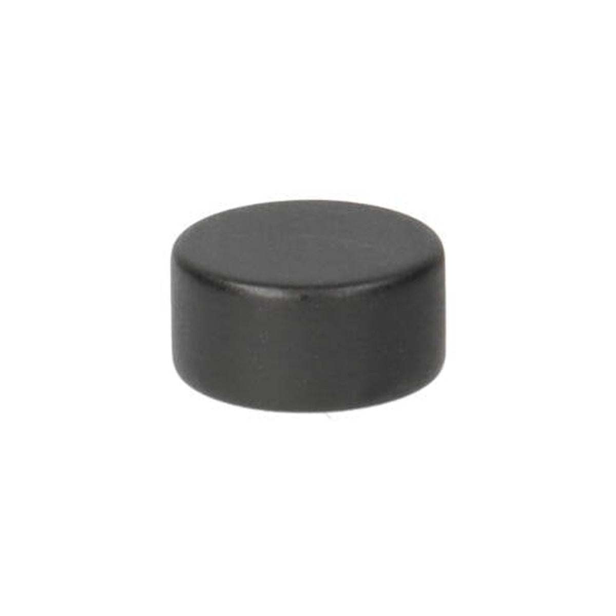 Aimant disque en néodyme Ø 10 x 5 mm N42, résine époxy
