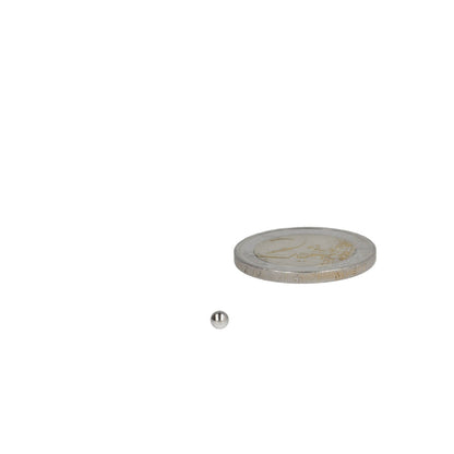 Neodymium Kogelmagneet Ø3,175 mm N48 NiCuNi - Magnetenspecialist Import & Export B.V.