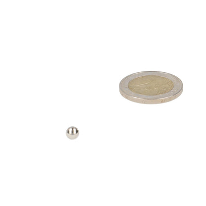 Neodymium Kogelmagneet Ø5 mm N48 NiCuNi - Magnetenspecialist Import & Export B.V.