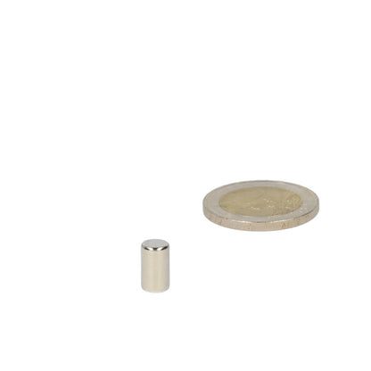 Neodymium Staafmagneet Ø6 x 12 mm N45 NiCuNi - Magnetenspecialist Import & Export B.V.